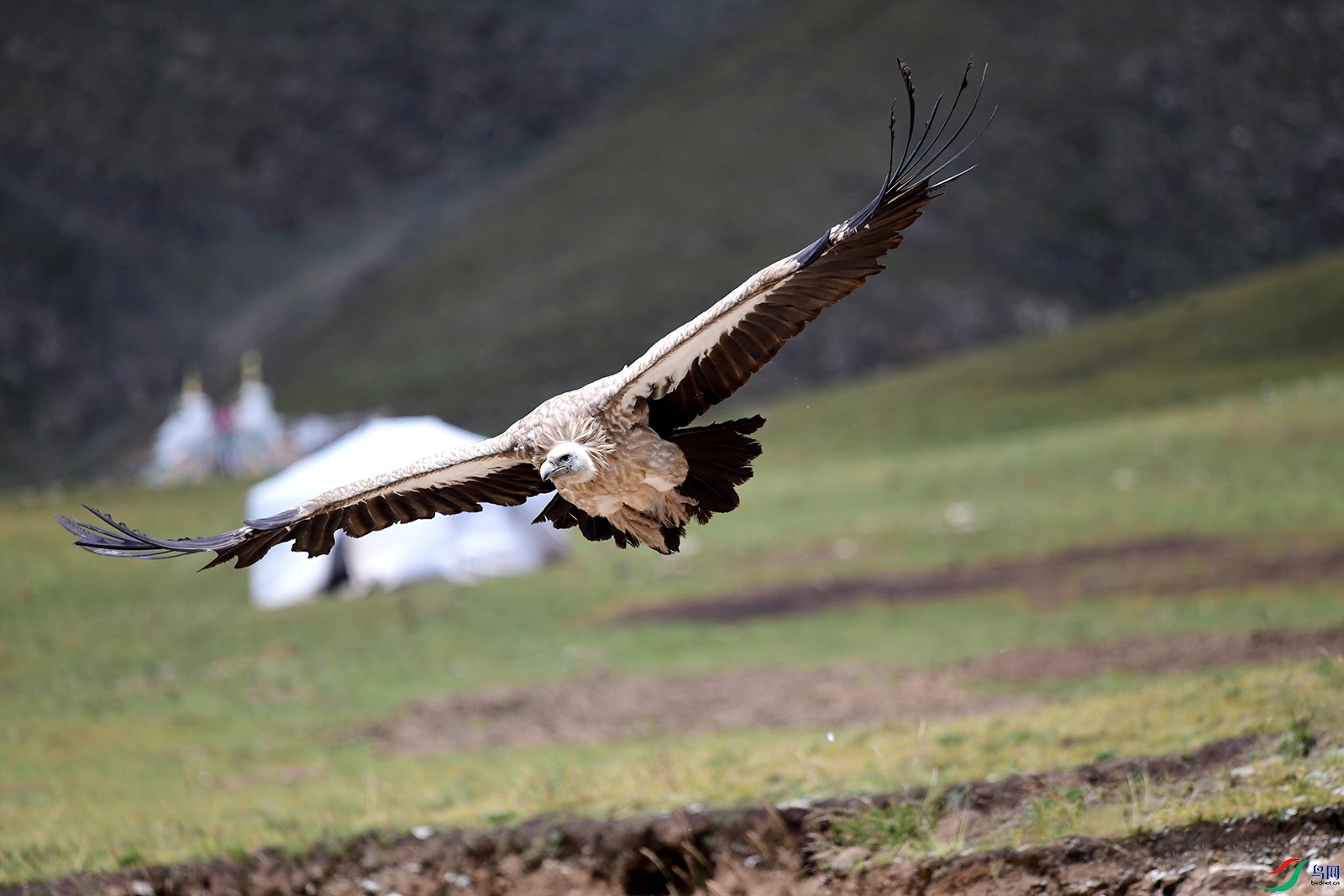 DSC_6398.JPG