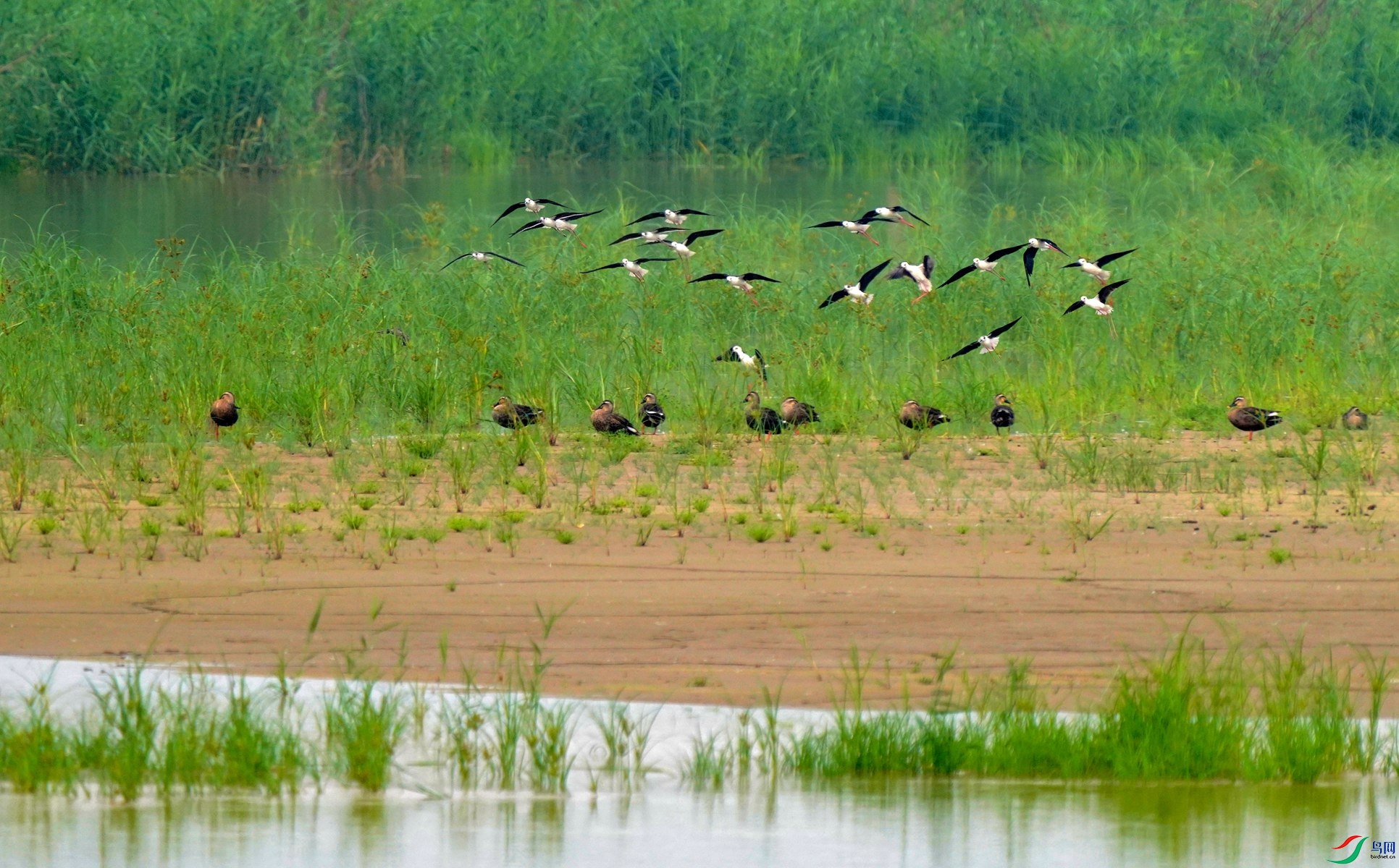 2 DSC02882��_����.jpg