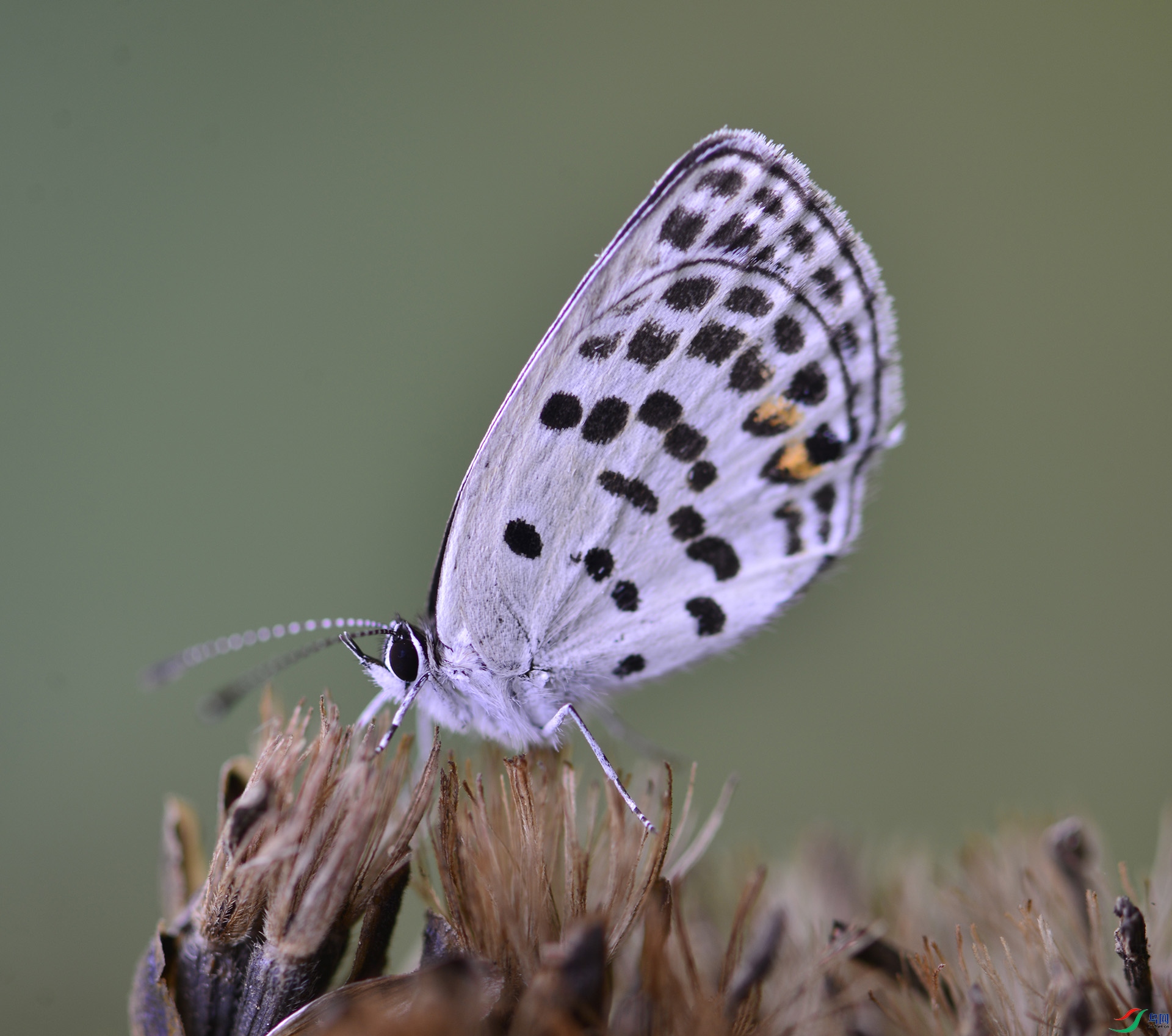 ������Ӱ 1679����.jpg