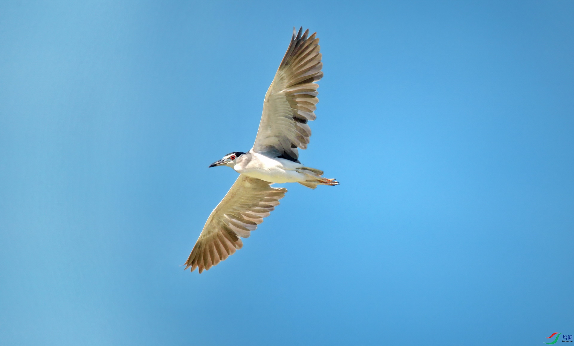 DSC_7197.jpg
