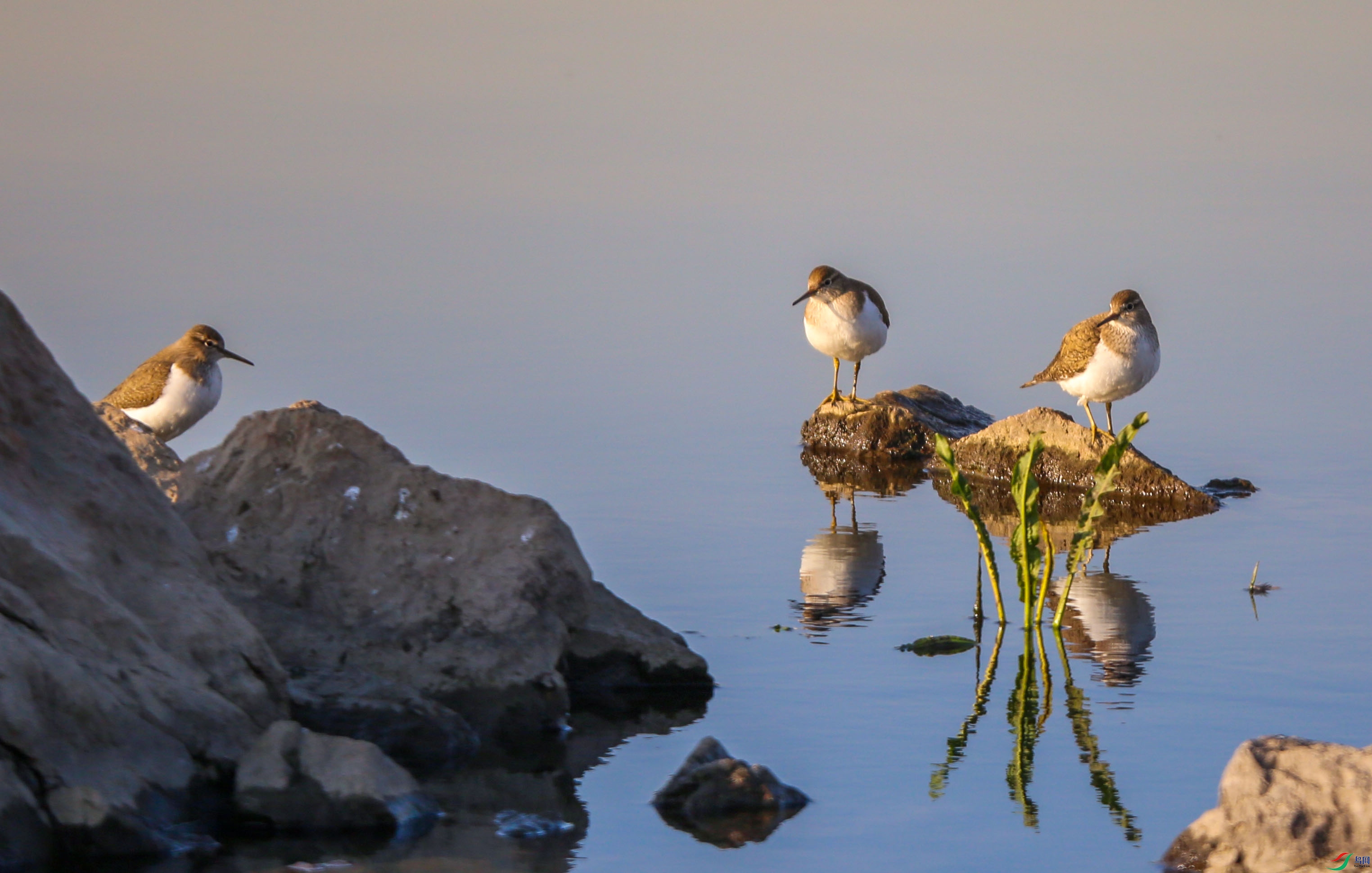 ������̸