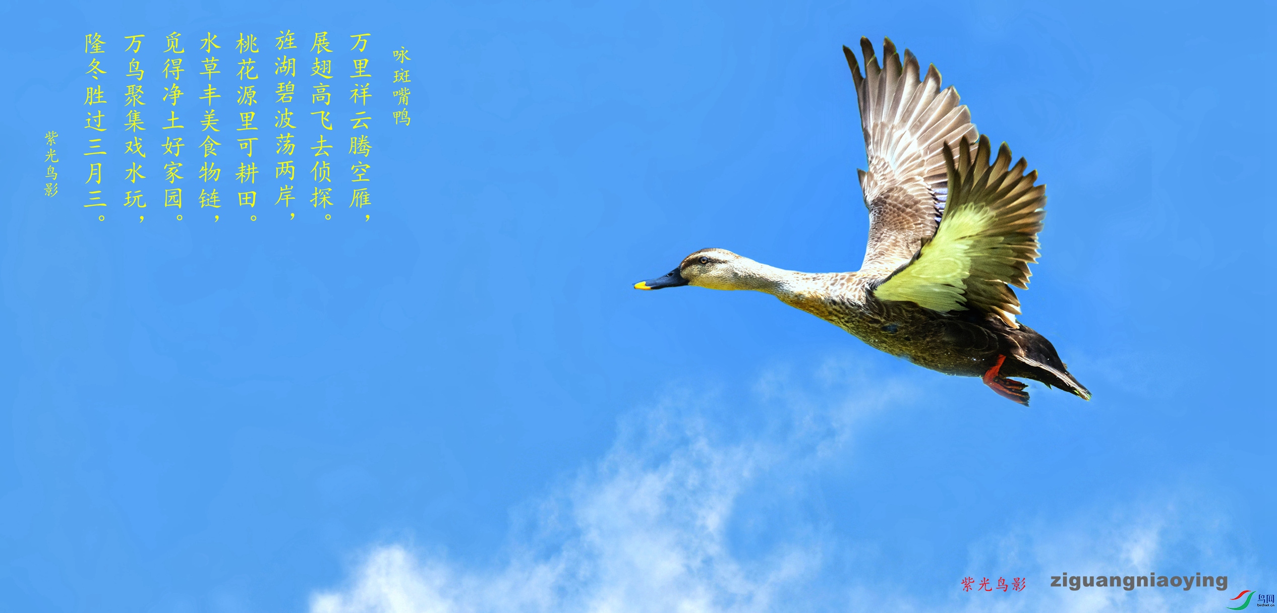 ABR_3366_����_����_����.jpg