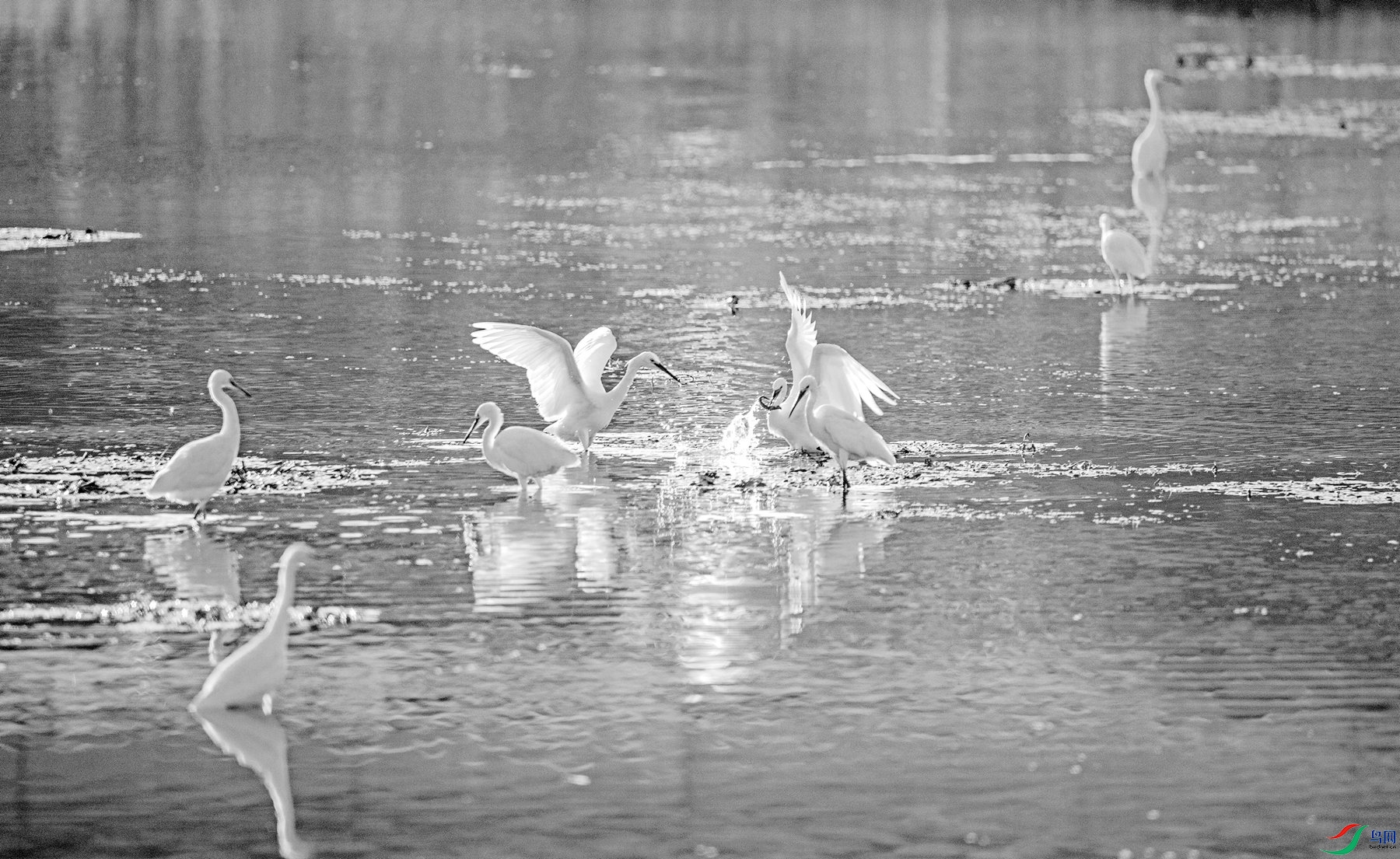 ��ƴ����Ӯ (1).jpg