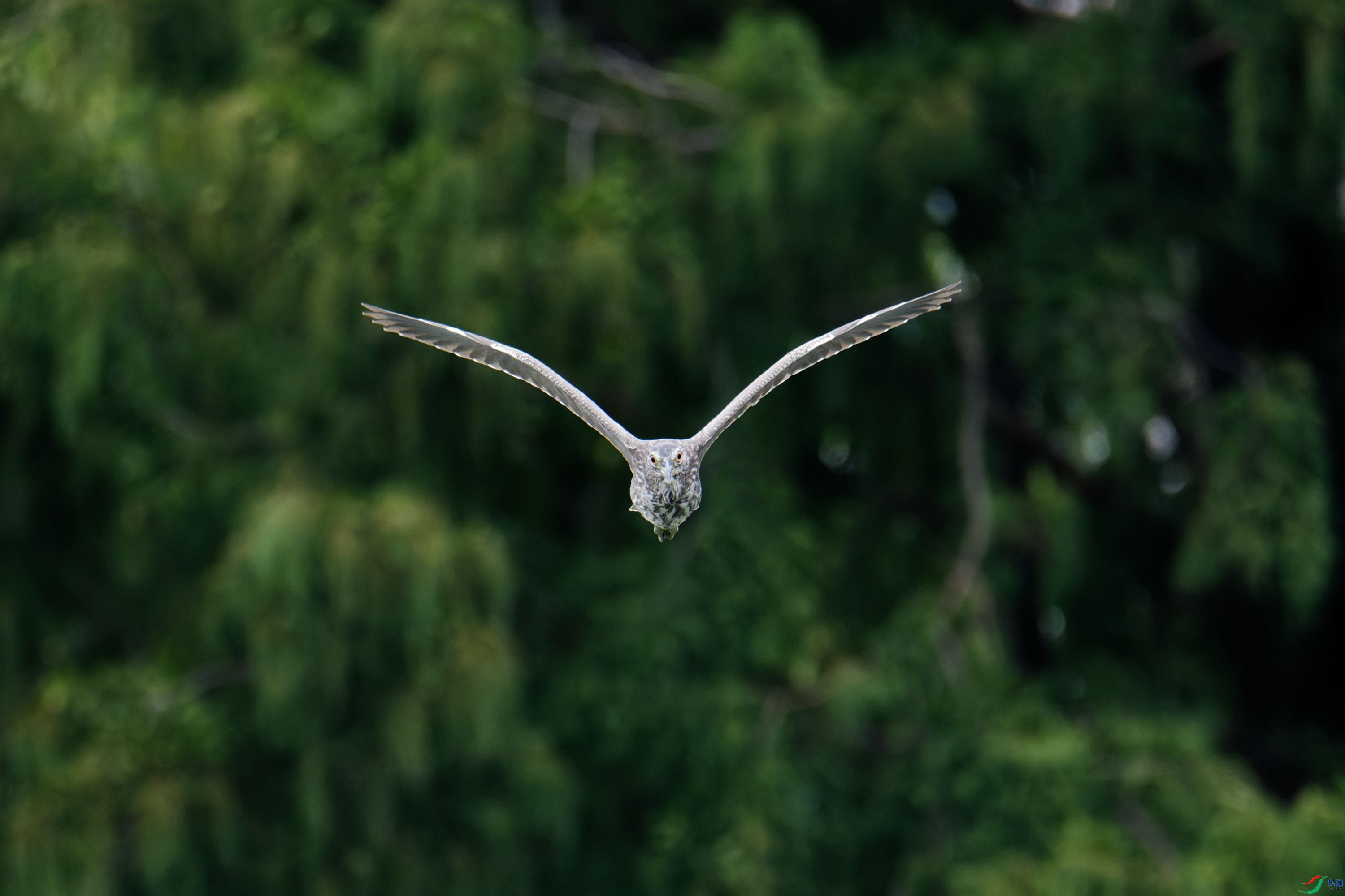 DSC_7729_DxO_����.jpg