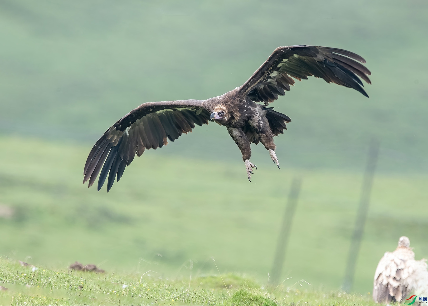 D5W_6757-1.jpg