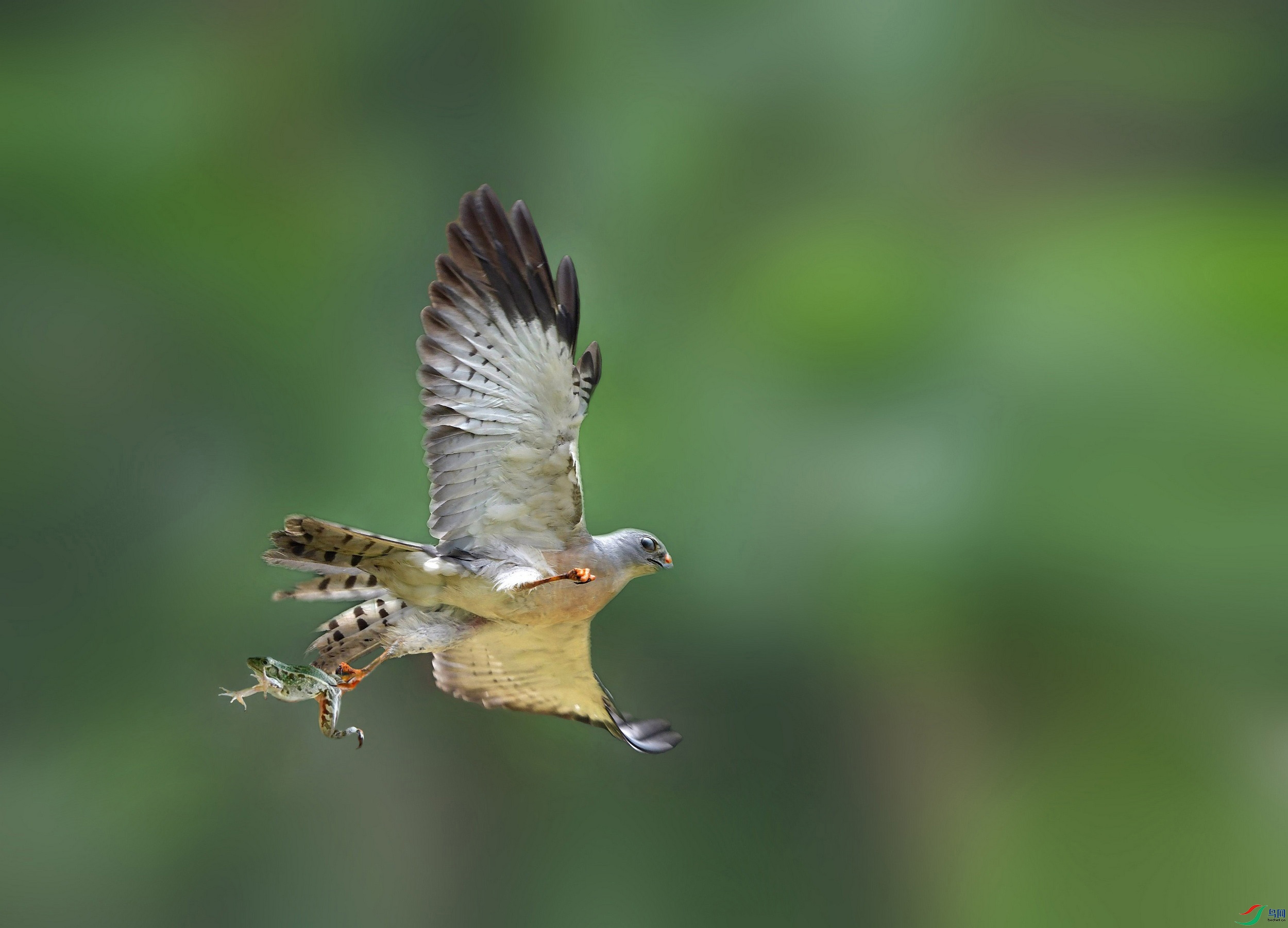 DSC_4951.jpg