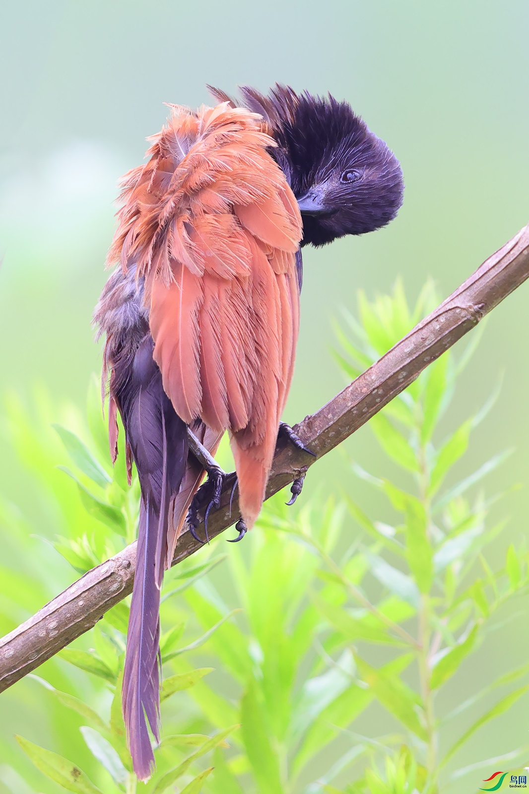 HCP_4290.jpg