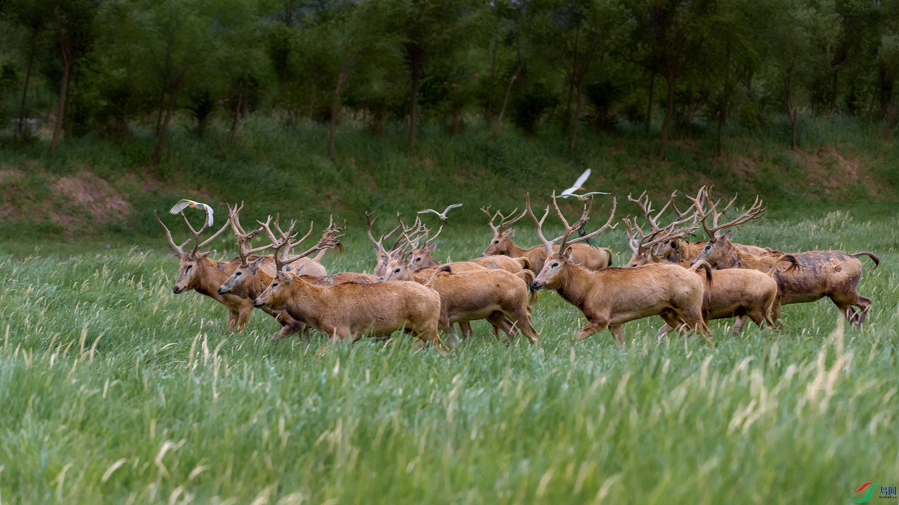 DSC_8643-1.jpg