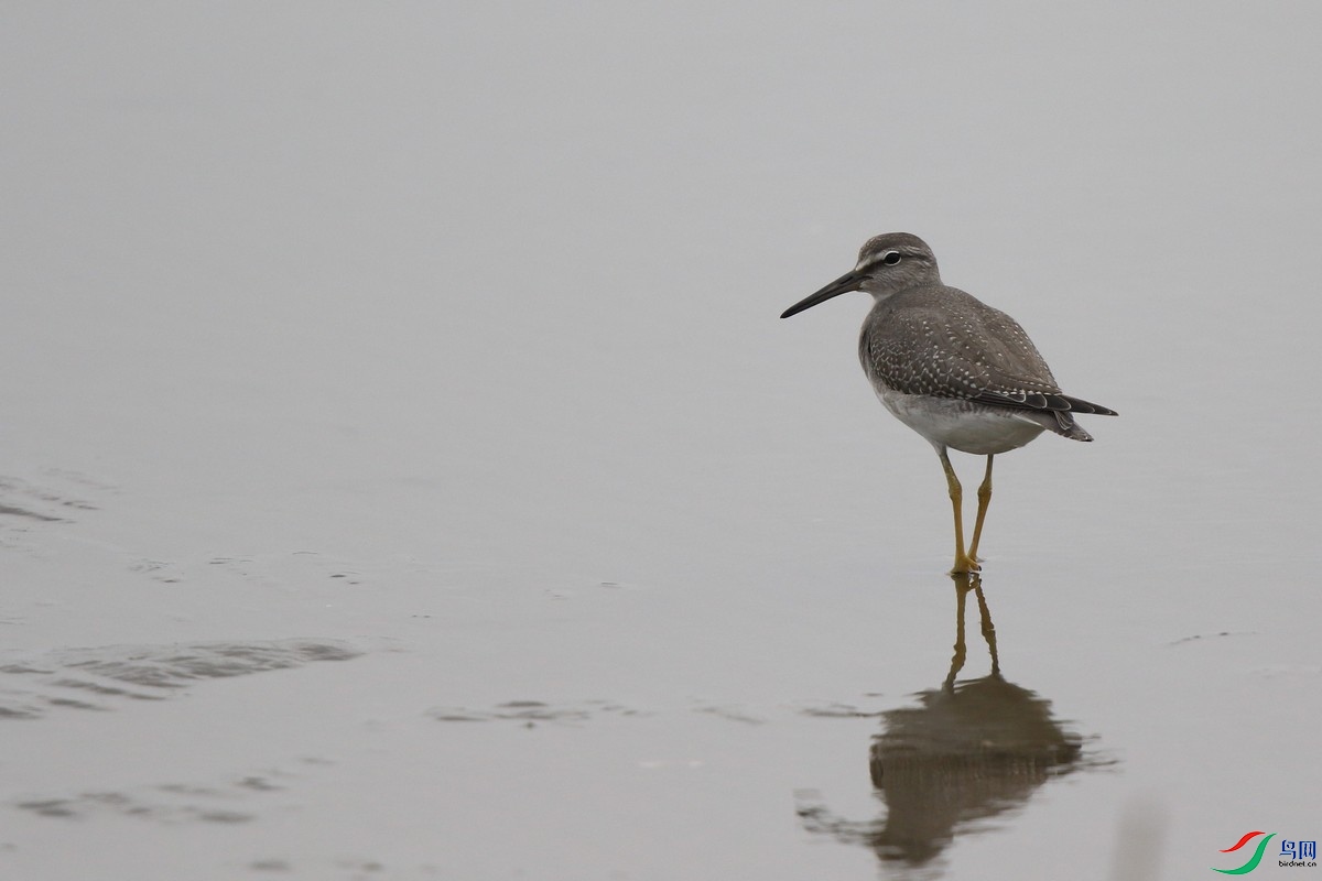 ���� ��0F4A3264.jpg