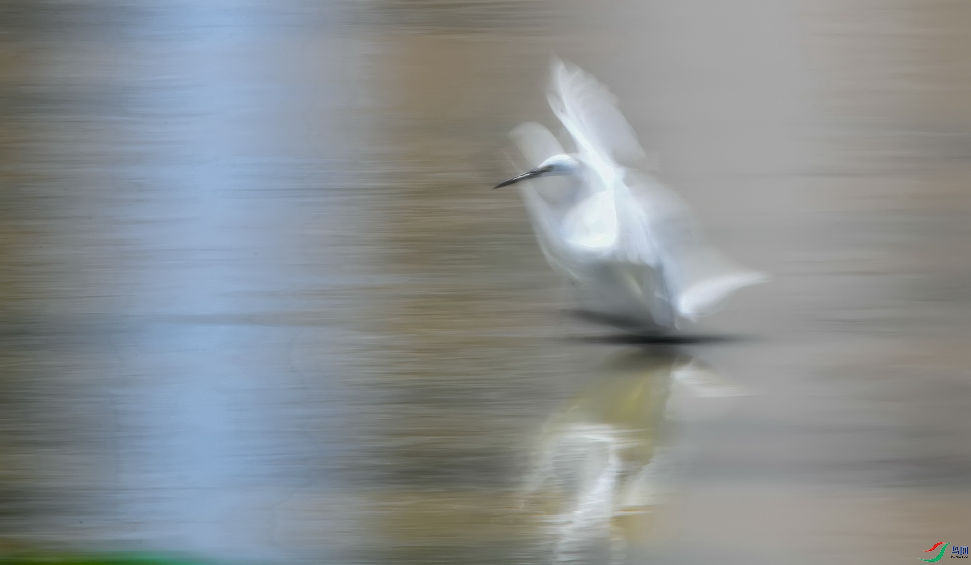 DSC_7409a.jpg