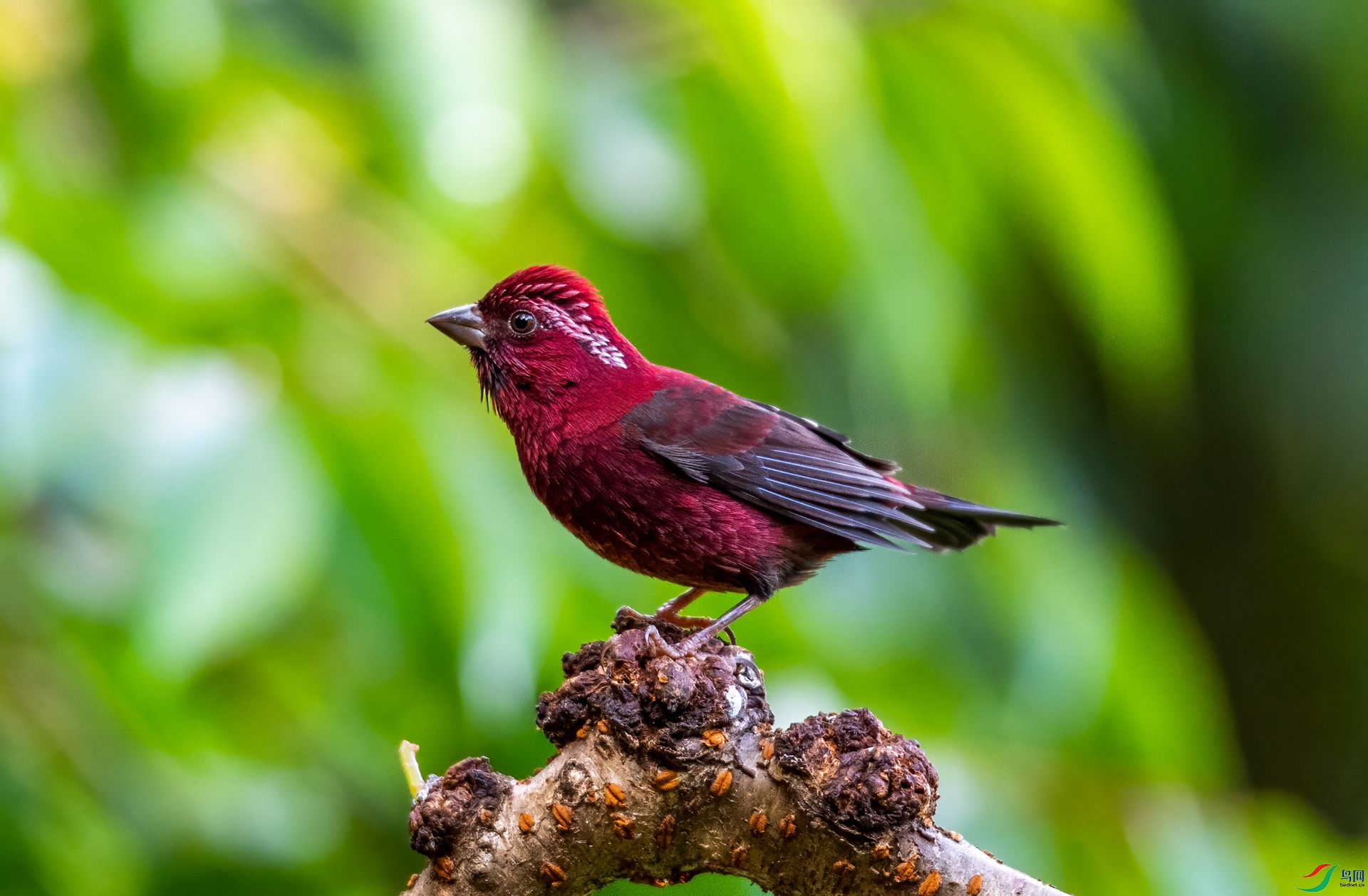 DSC_1417_����.jpg