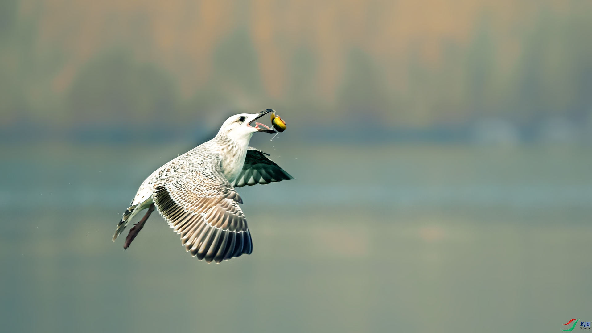 _DSC5741-ͼ10.jpg