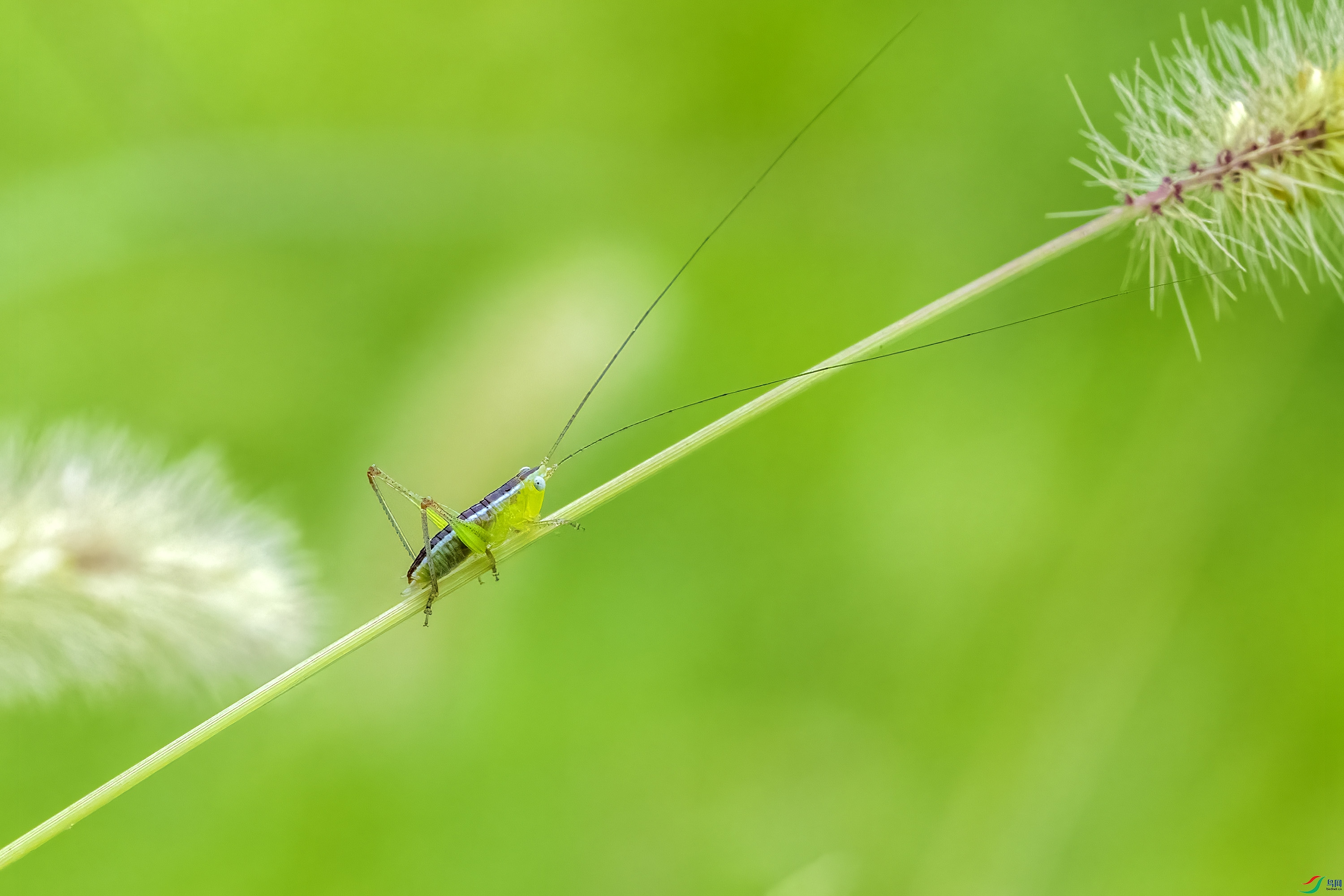 DSC_5856.jpg