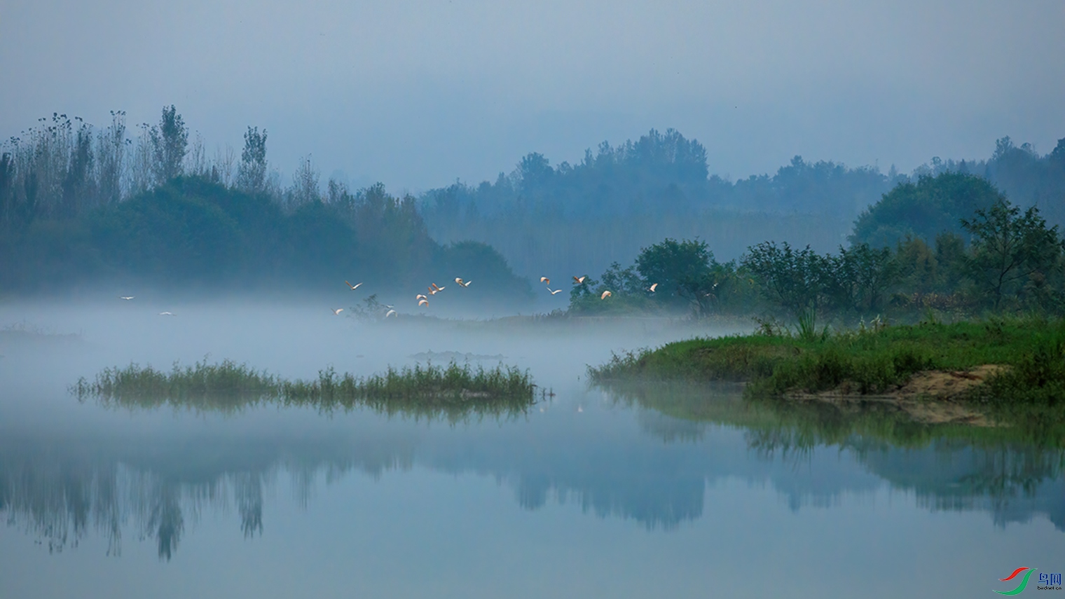 802A7365.jpg
