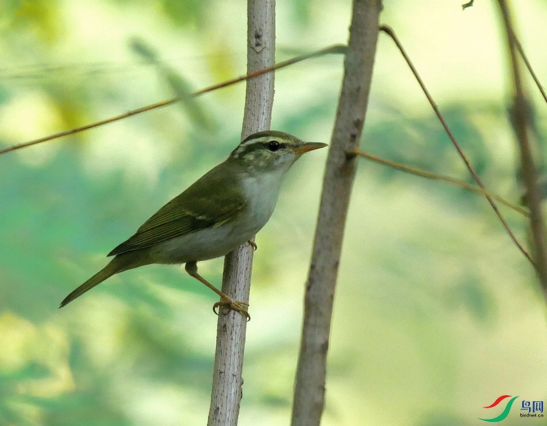 P7060701 - ����.JPG