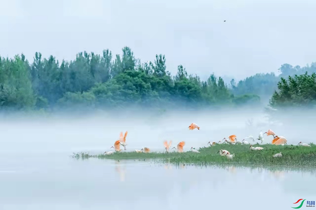 �������q2 (1).jpg