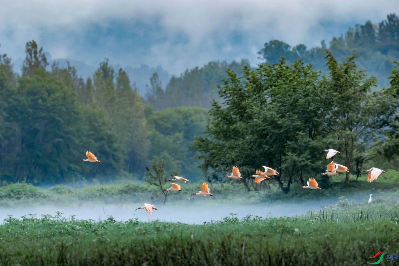 �������q2 (2).jpg