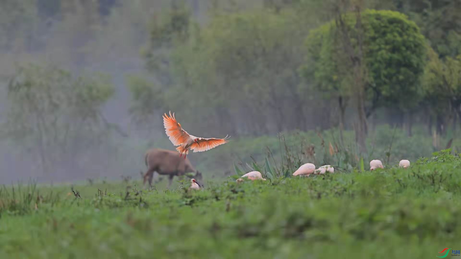 �������q8  (2).jpg