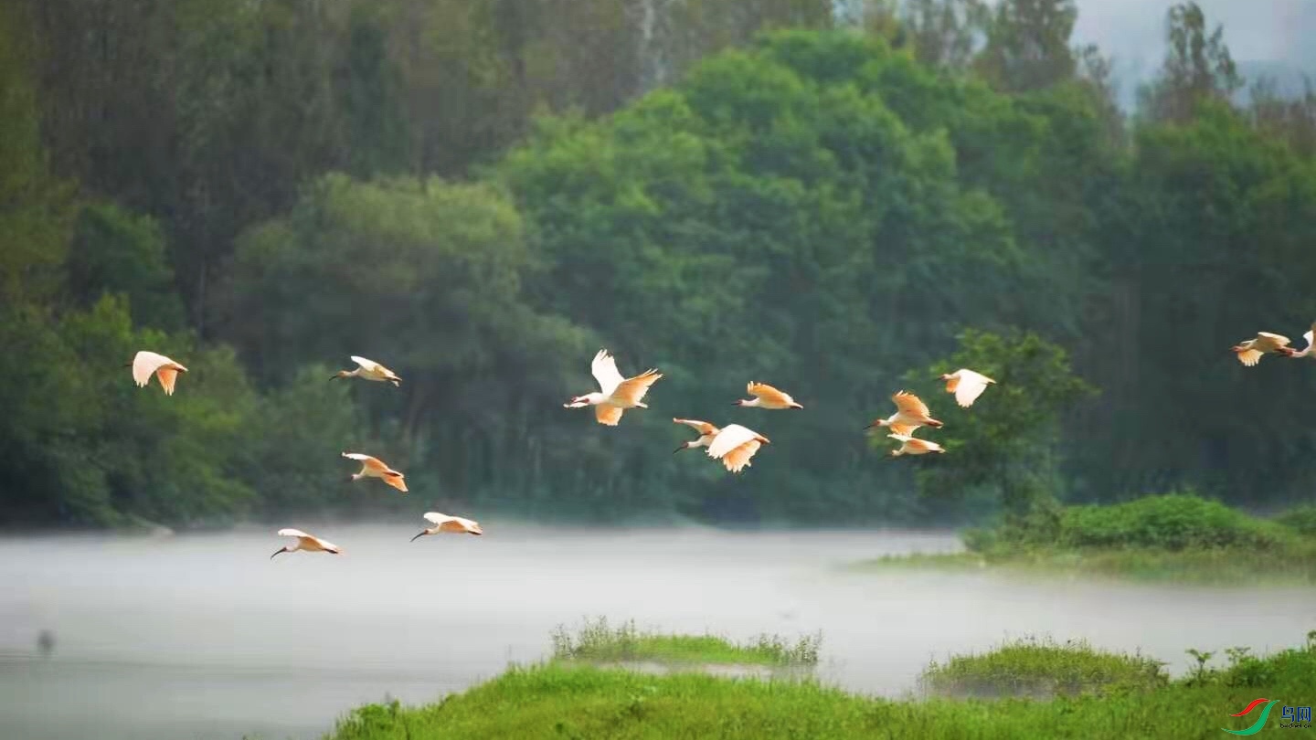 �������q8  (1).jpg