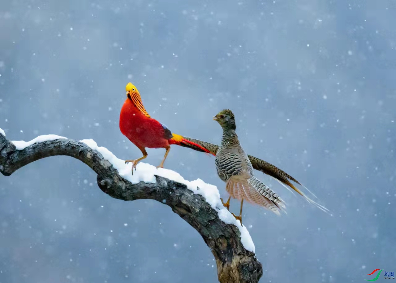 �츹����3 (1).jpg