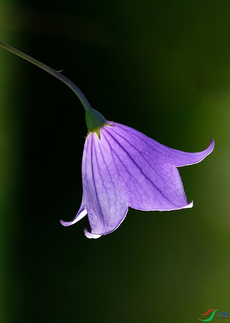 DSCF7734 - ����.JPG