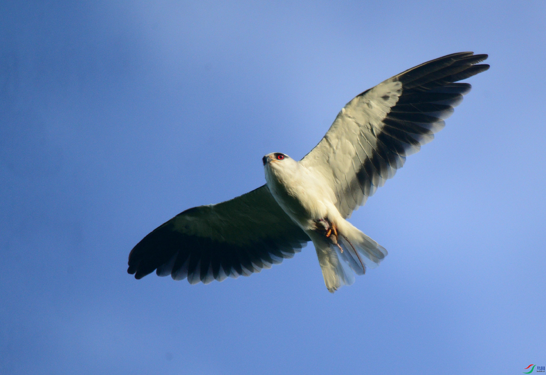 DSC_5187.jpg