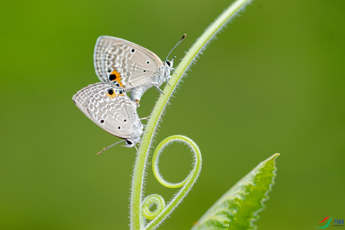 9G7A3940a.jpg