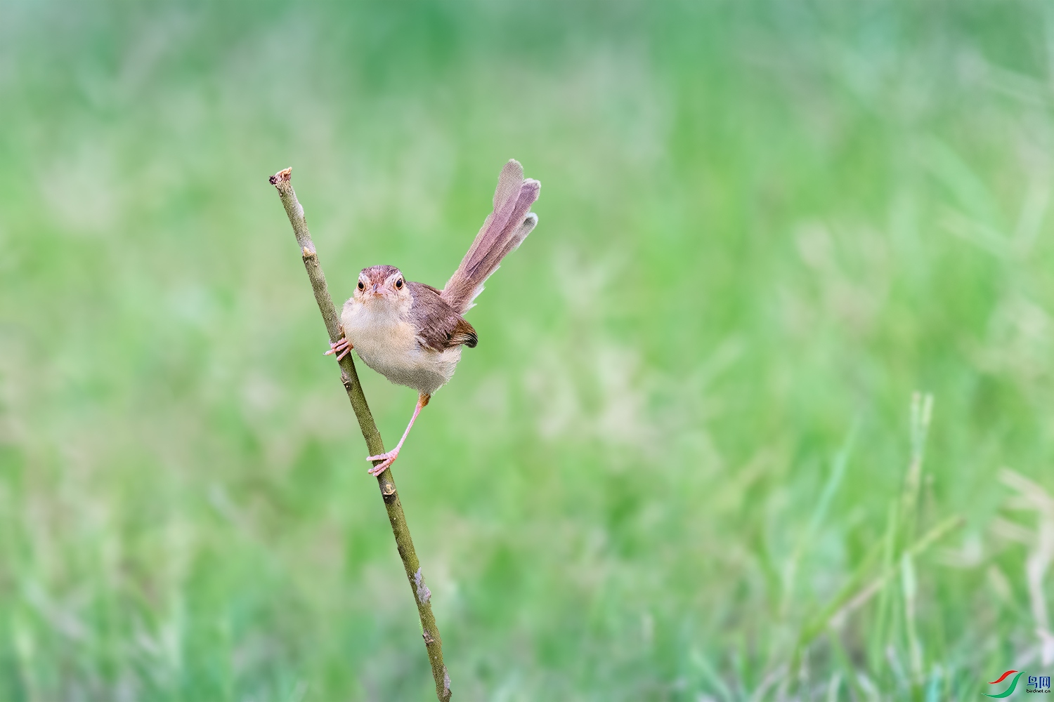 DSC_3517-2.jpg