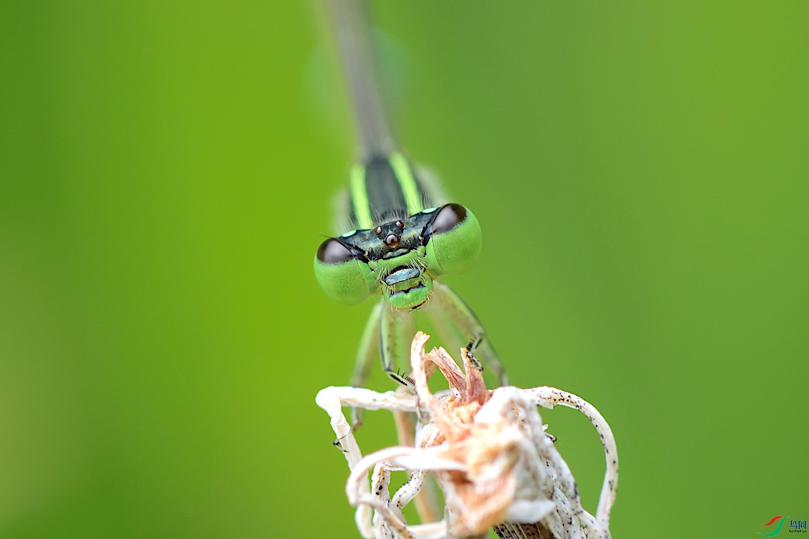 DSC_7203_00006.jpg