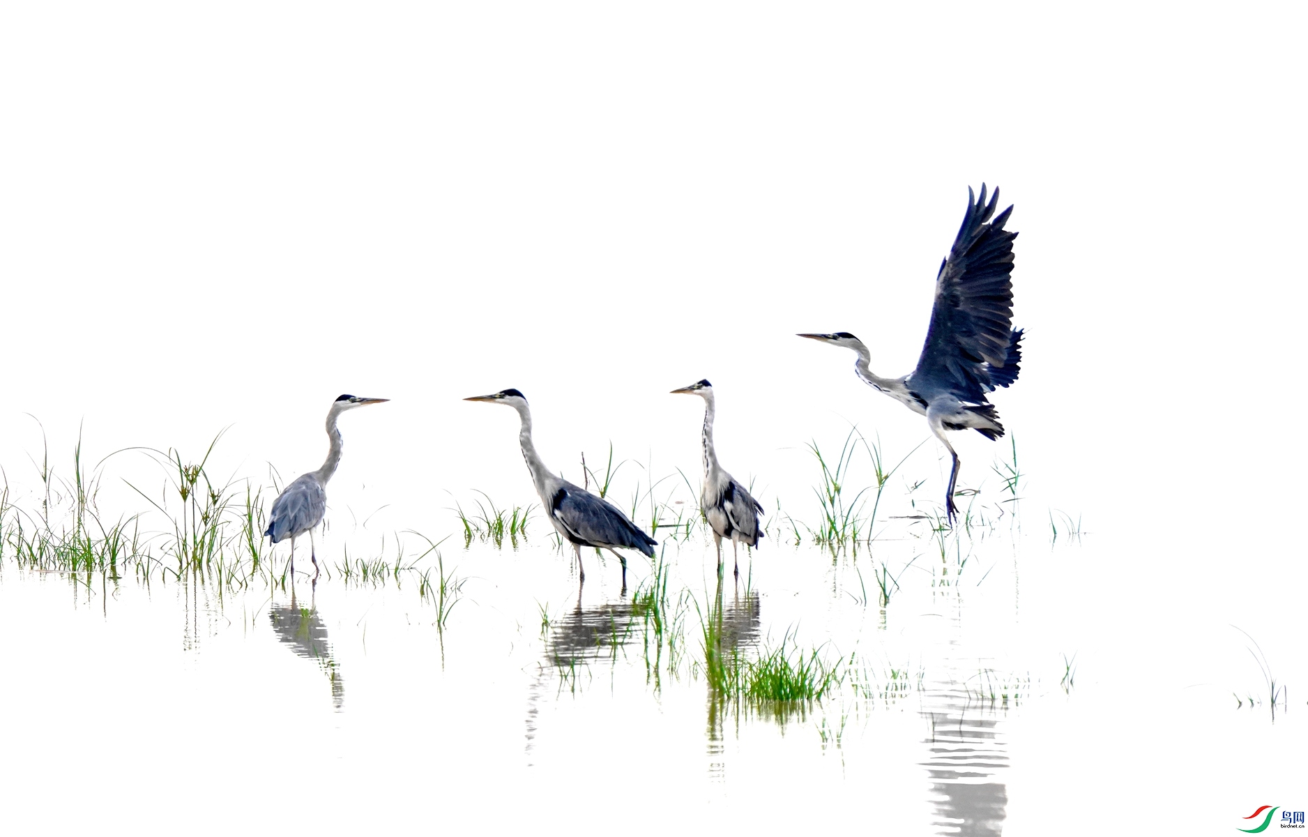 6 DSC02813_����.jpg