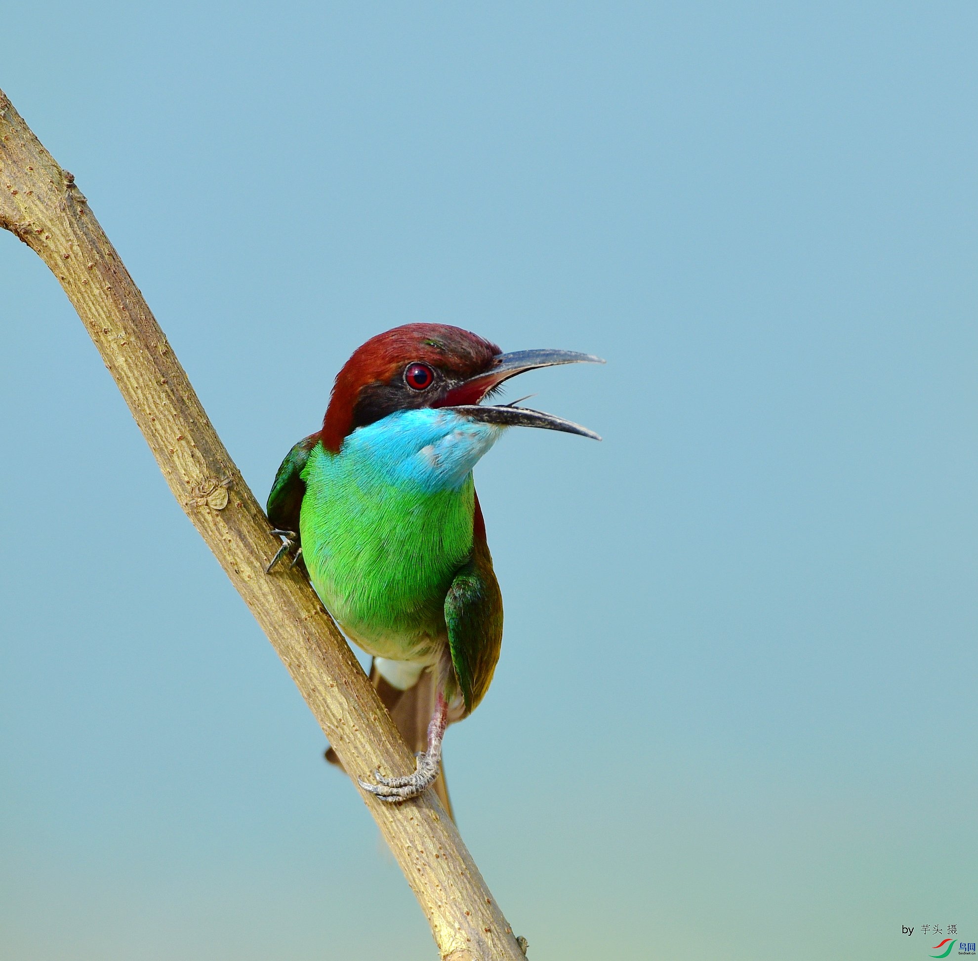 D8I_3055.jpg