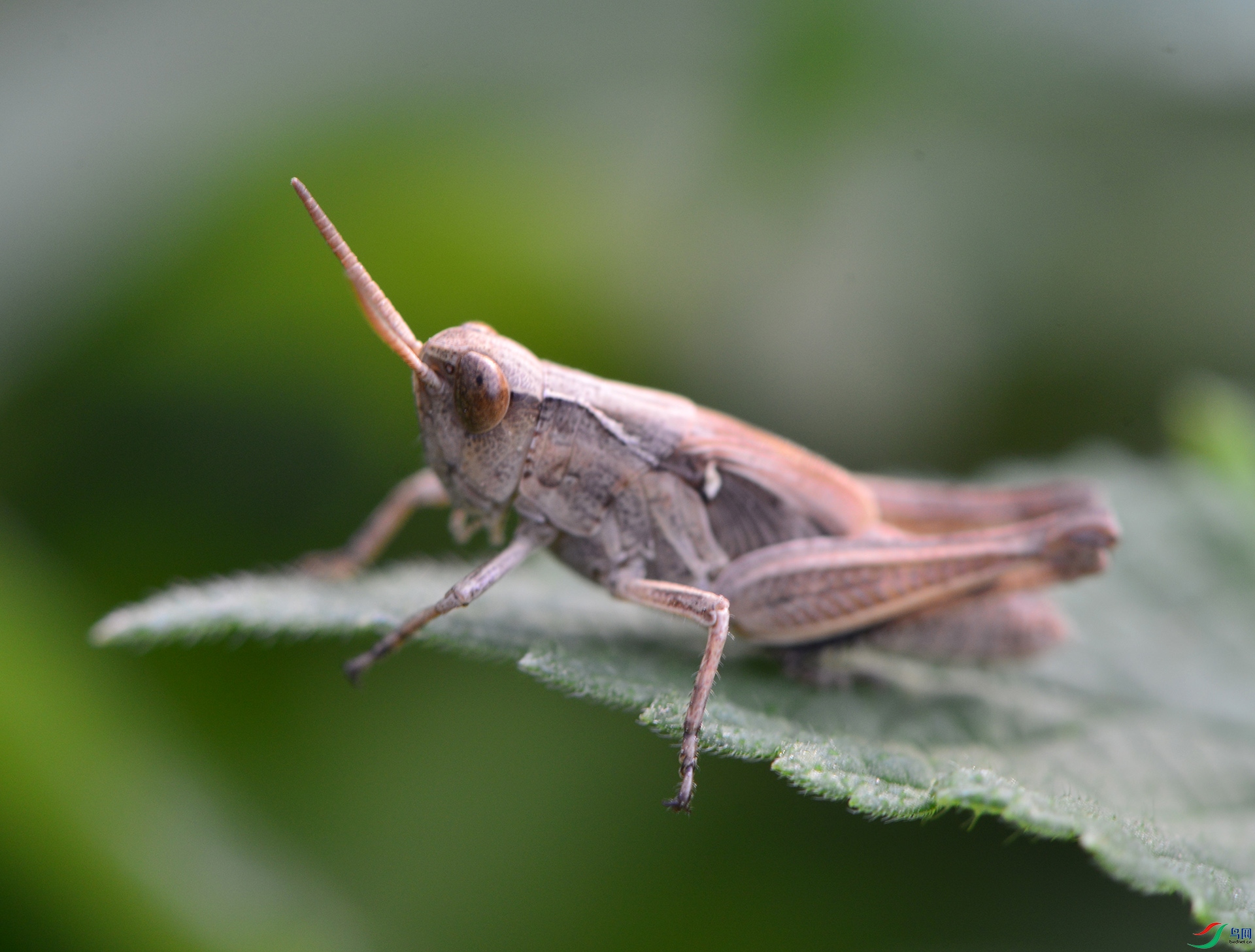 ������Ӱ 2115����.jpg