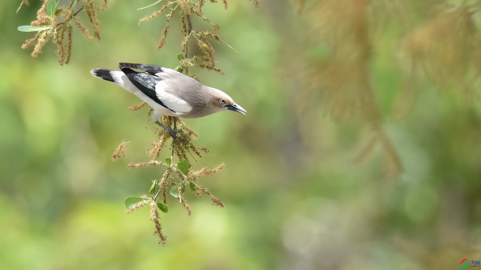 DSC_9594.JPG