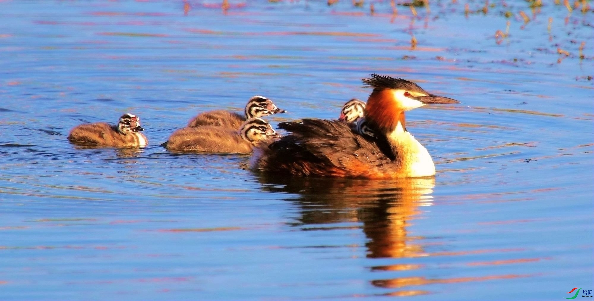 AW5K4670 2000_����.jpg