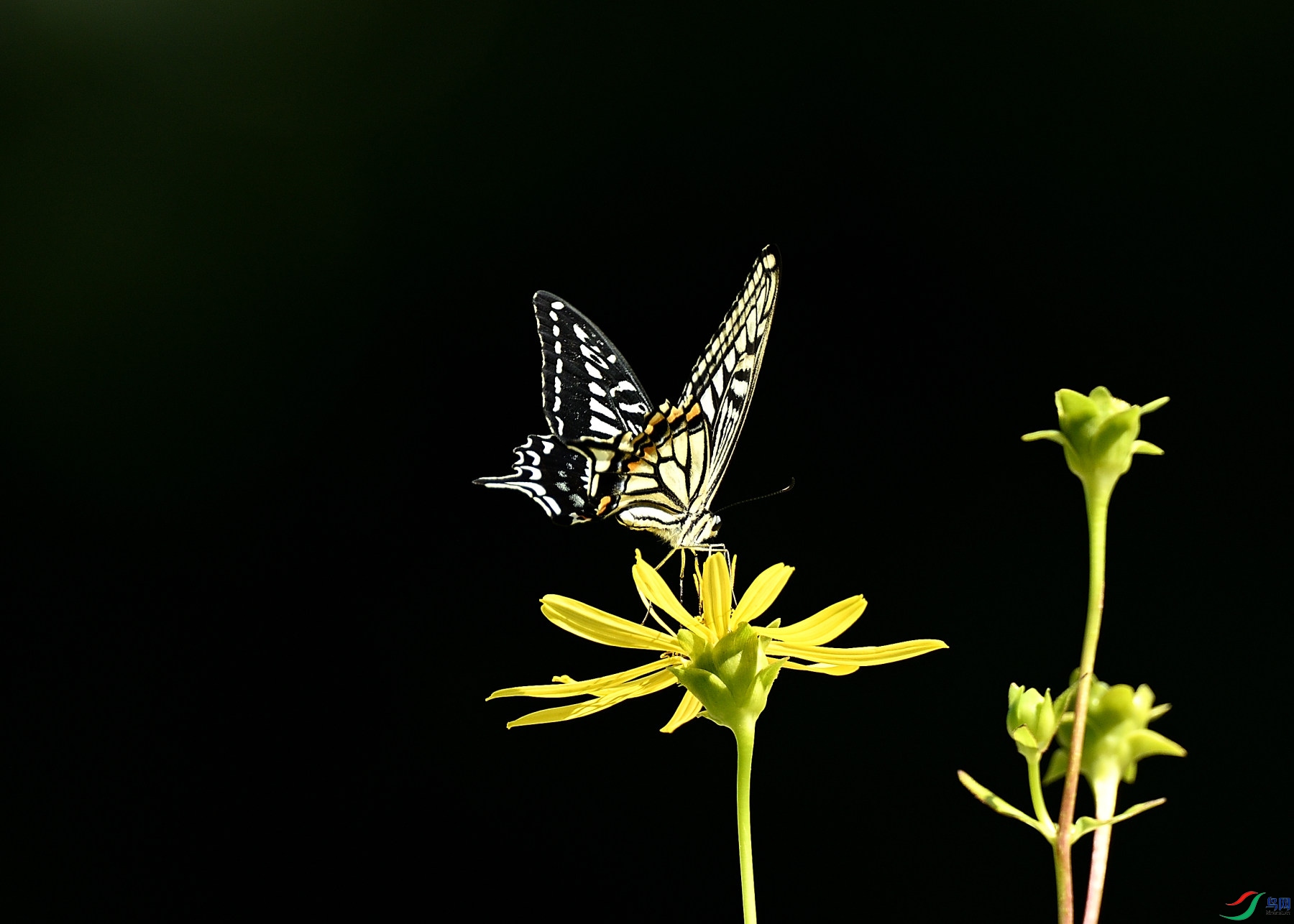 DSC_8923.JPG