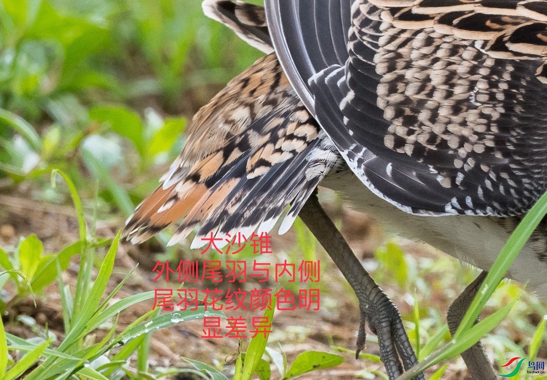 82DBC1BF-BD24-4A9B-B995-8A3D82182392.jpeg