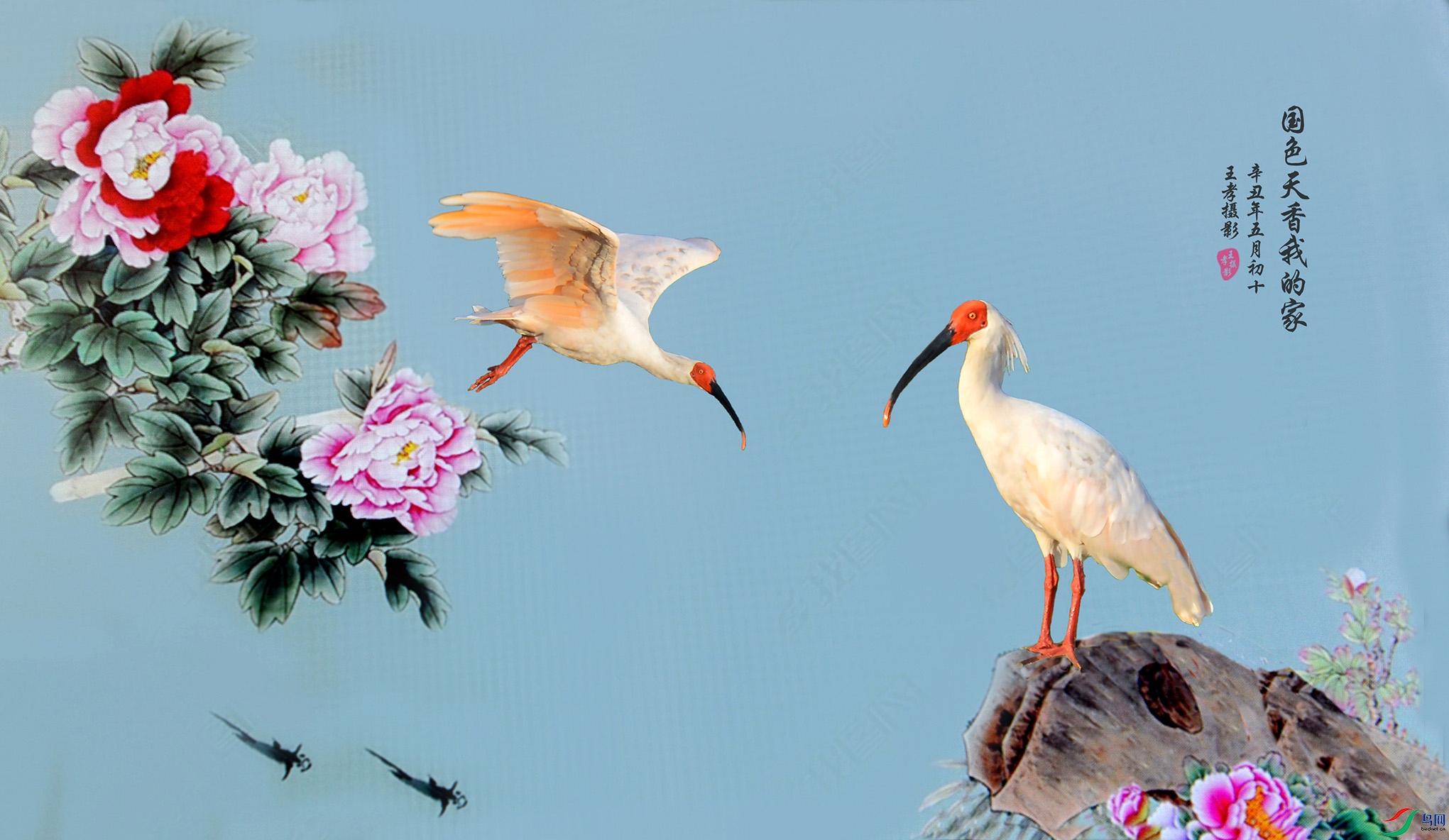 5.��ɫ�����ҵļ�-��4110AM.jpg