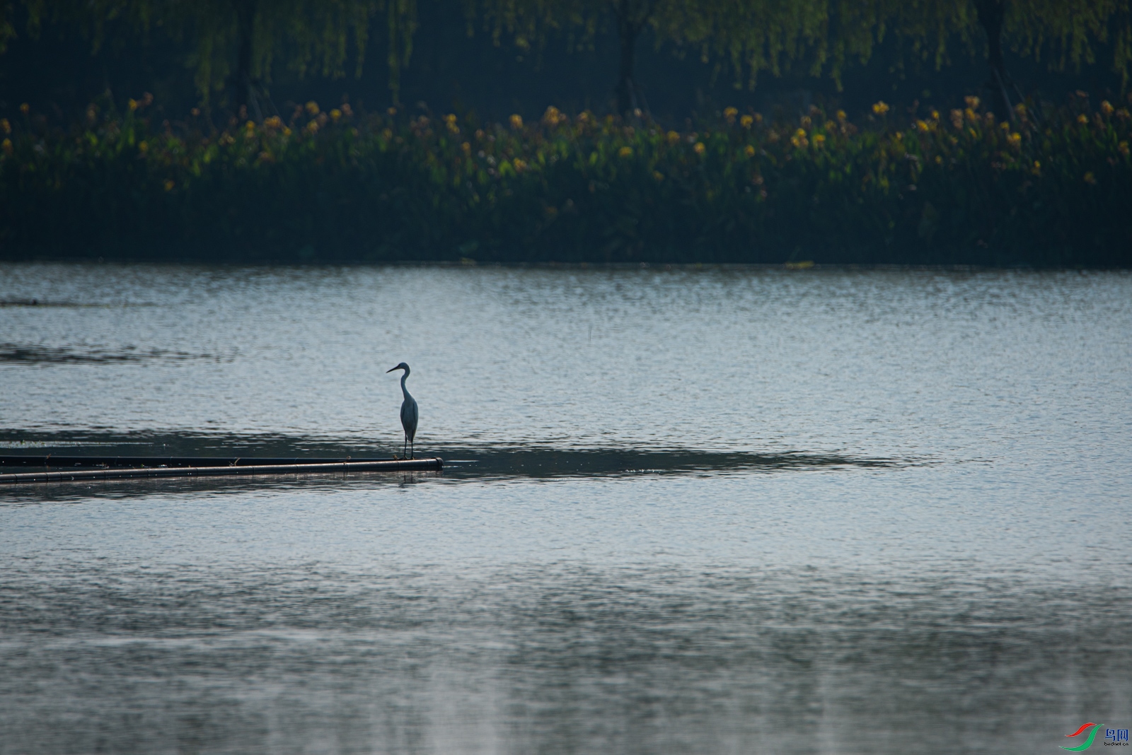 DSC_3704.jpg