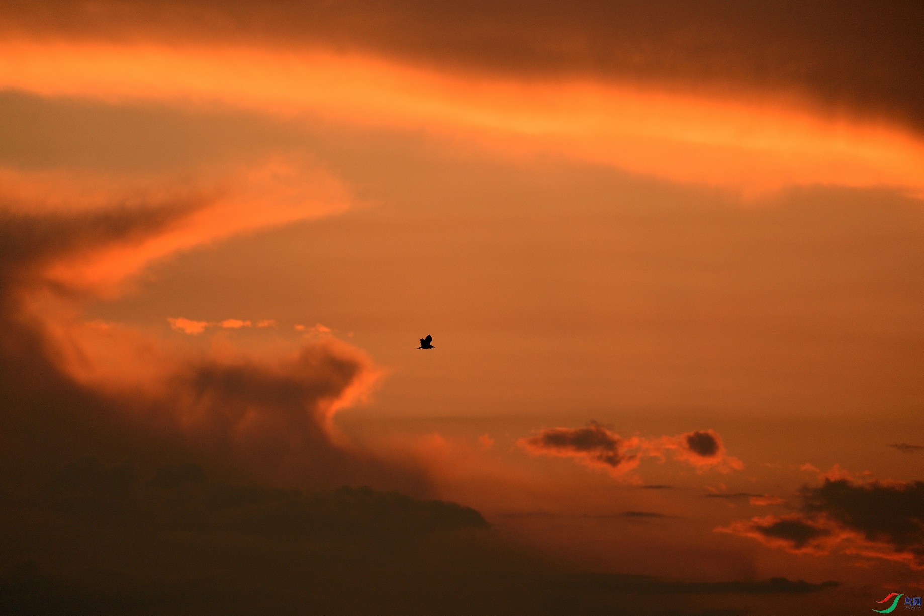 21N_1766_00001.jpg