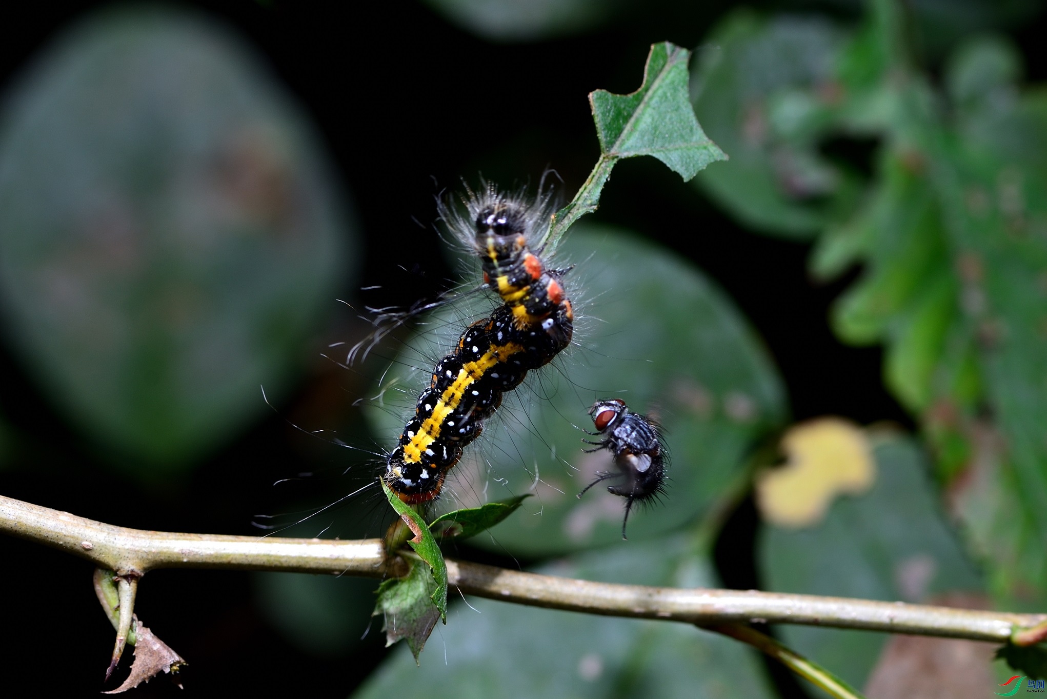 DSC_1166_00001.jpg