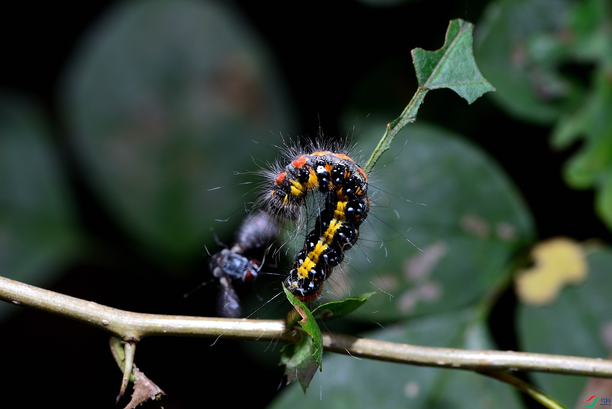 DSC_1179_00001.jpg