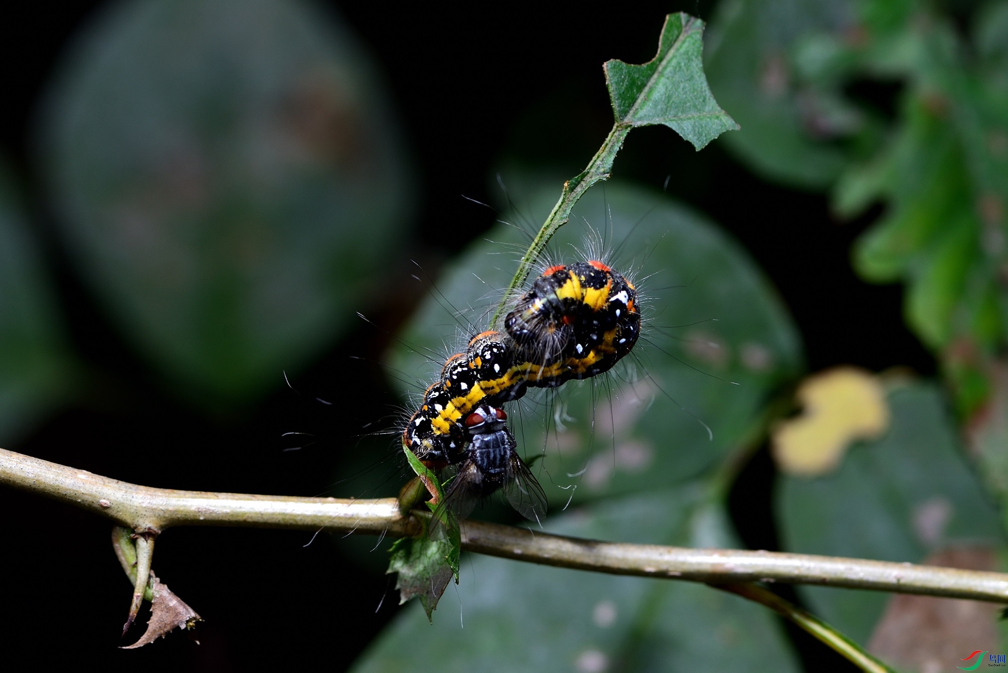 DSC_1180_00001.jpg