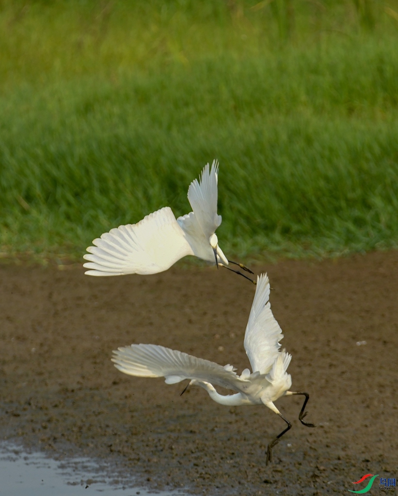 DSC_1015.jpg