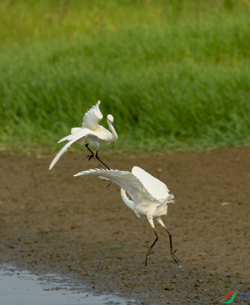 DSC_1014.jpg