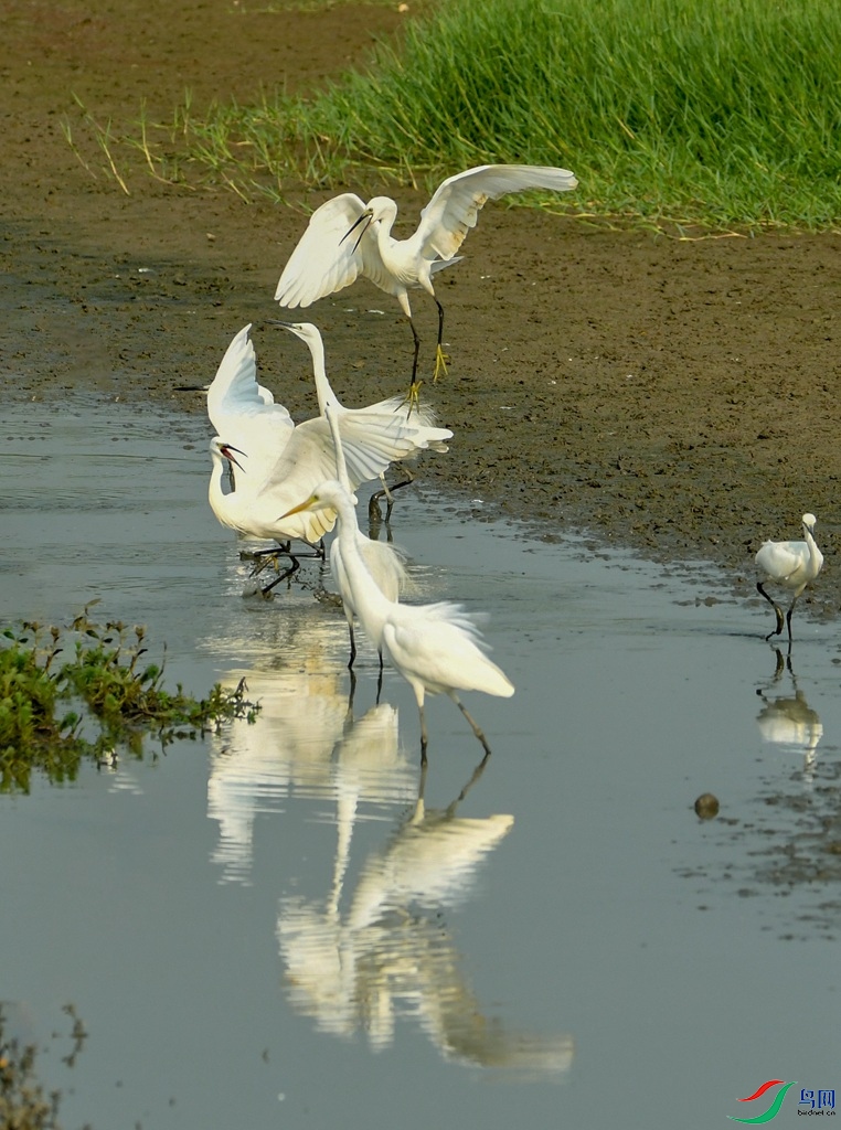 DSC_1086.jpg