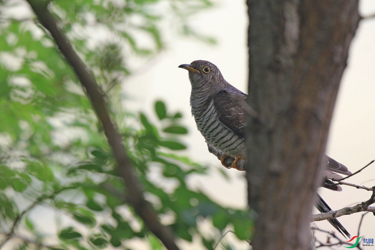 ��ž����� 0F4A4162.jpg