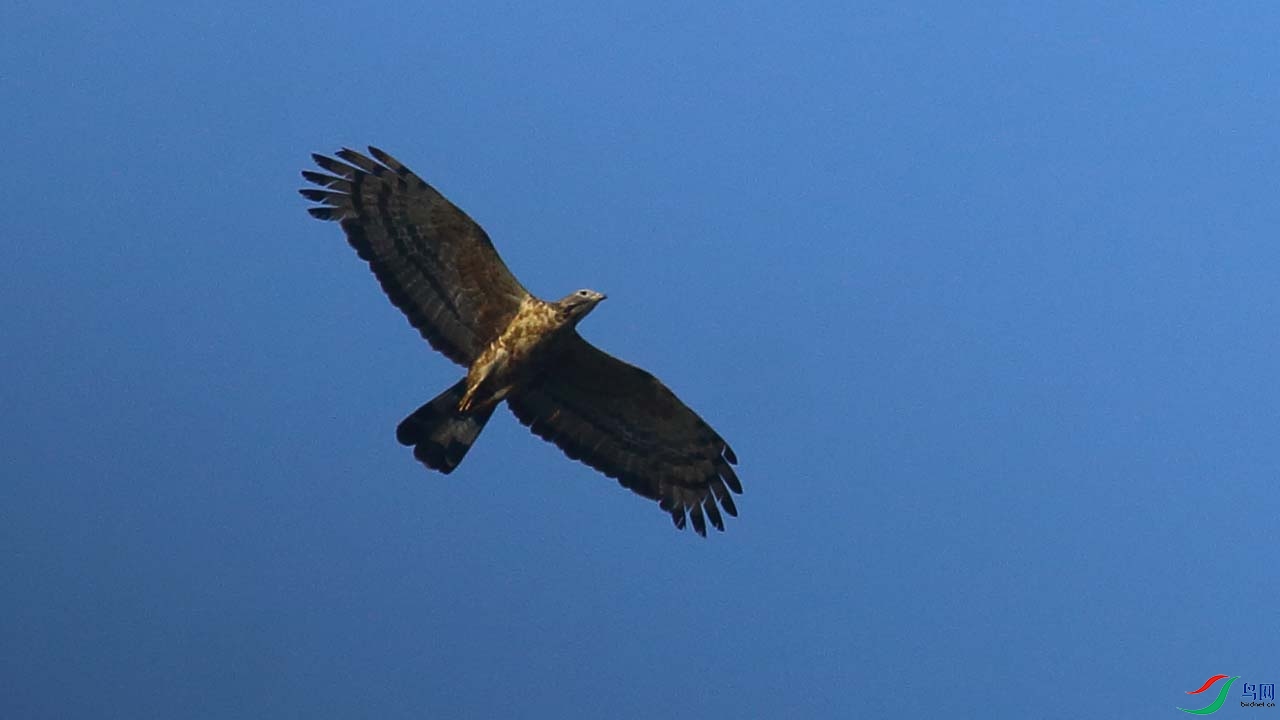 IMG_5610.JPG