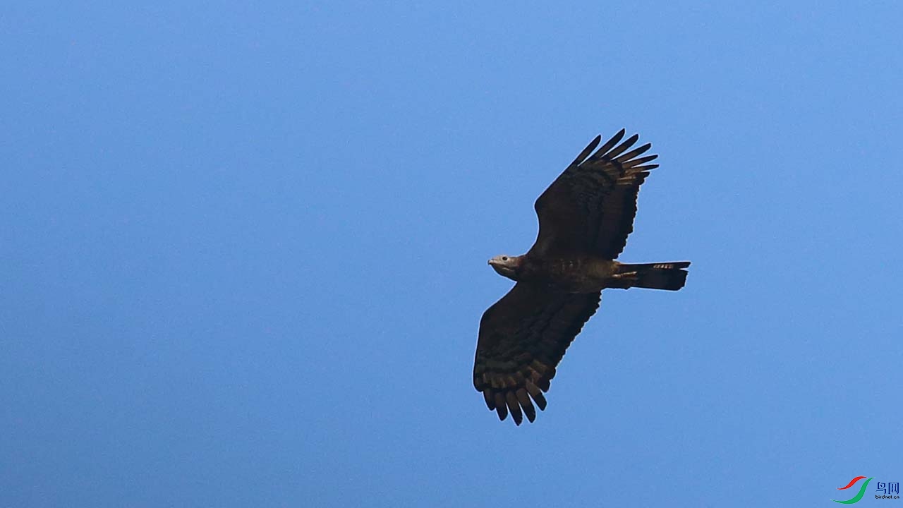 IMG_5624.JPG