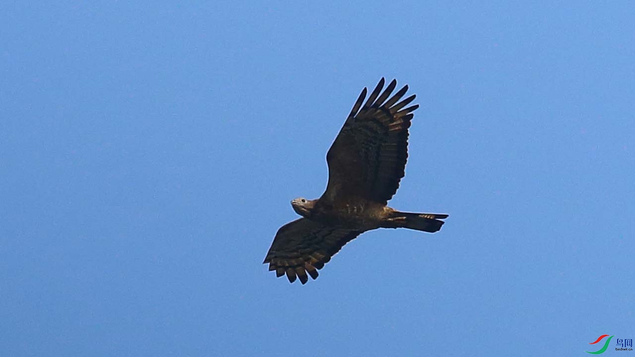 IMG_5622.JPG