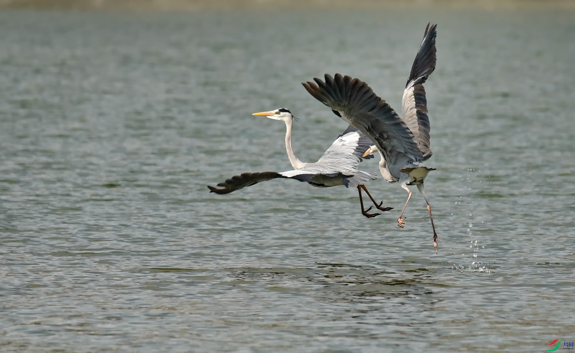 DSC_5115.JPG